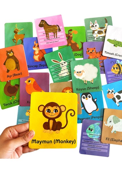 Dünyayı Tanıyorum Zeka Kartları Seti - Hayvanlar - Meyve ve Sebze(2 KUTU 40 KART)