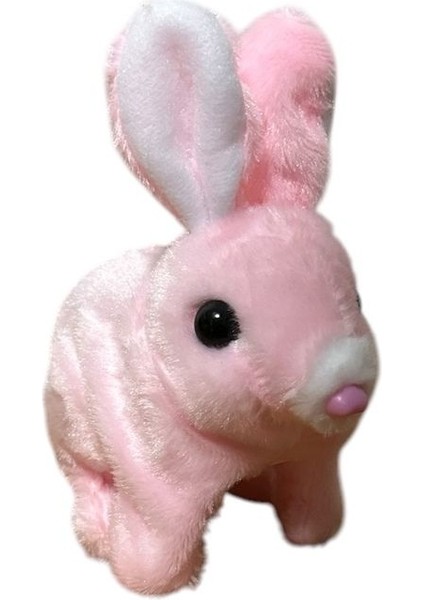 Pilli Zıplayan ve Kulakları Hareket Eden Pembe Tavşan modelleri