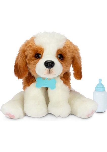 Sevimli Köpeğim LP800000