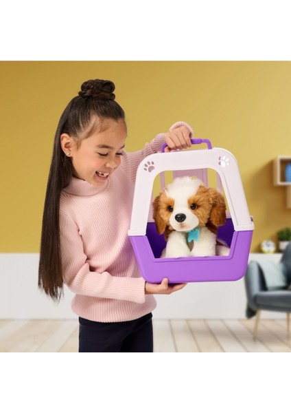 Sevimli Köpeğim LP800000 modelleri