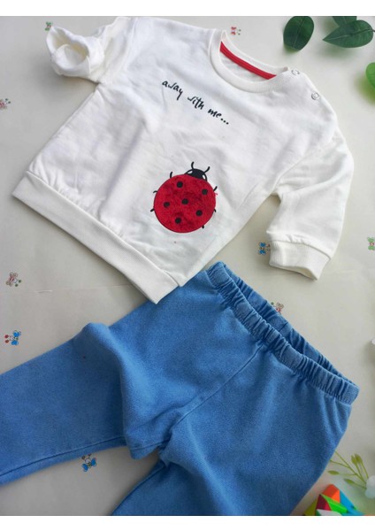 Kız Çocuk Bebek 2li Takım Alt Üst Swaetshirt Jean Kombin 6-9-12-18 Ay