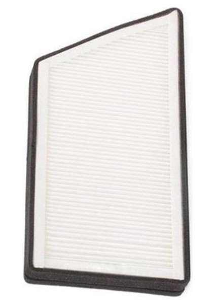 Polen Filtre Peugeot 206 2002- 206+ 2008-