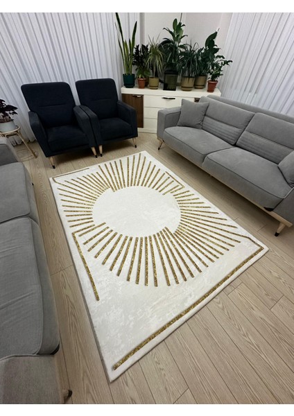 lastikli Mikro Polar Halı Örtüsü 4m2 160X230 Veya 6m2 200X300 HALI Kılıfı