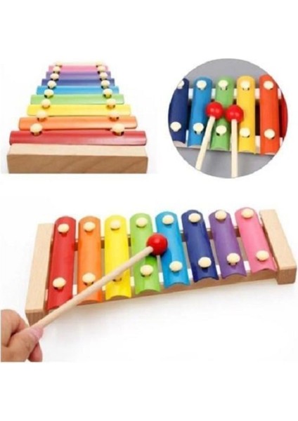 Montessori Renkli 8 Nota 8 Ton Ahşap Ksilofon Selefon Ksilafon Tuşlu Sesli Müzik Aleti modelleri
