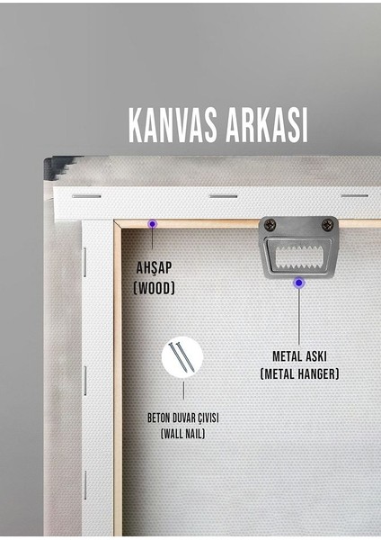 Minimalist Tarzda Kozmik Ejderha Çerçeveli Kanvas Tablo -360
