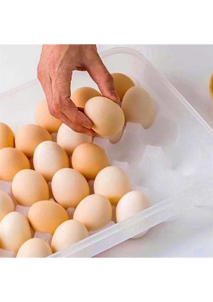 30&apos;lu Yumurta Saklama Kabı (4172)