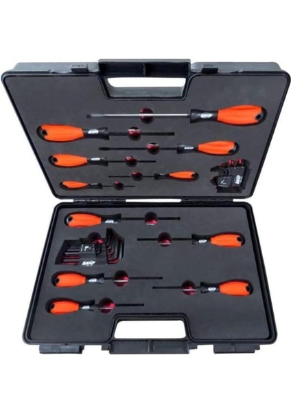 Tornavida-Allen Seti 27 Parça Çantada