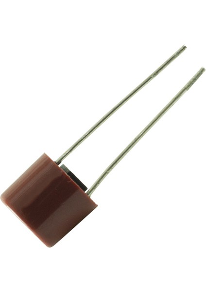 Yuvarlak Sigorta 2.5 A (Recevıer İçin) Radial