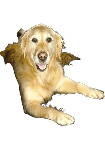 Köpek Araba Koltuğu Kapağı Katlanır Hamak Pet Taşıma Çantası Sepet Taşıma Kedi Kararlı Katlanabilir Seyahat Pet Köpek Araba Koltuğu (Yurt Dışından)