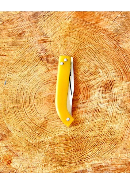 Tapan Aşı ve Cep Bıçağı 21 cm Paslanmaz