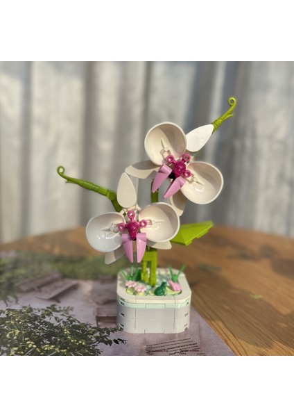 Yeni Yaratıcı Yapı Taşları Buket Ahşap Evler Monte Puzzle Çocuk Oyuncakları Süsler Hediye (Yurt Dışından)