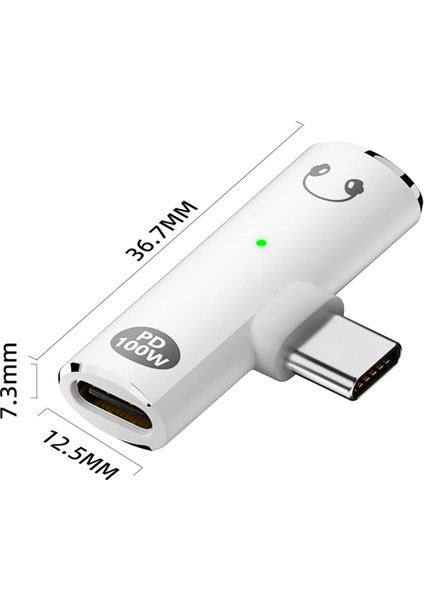 100W Hızlı Şarjlı USB C - Ses Jakı Adaptörü, 2'si 1 Arada 3,5 mm Dişi Kulaklık, Type Interface Serisi, B (Yurt Dışından)