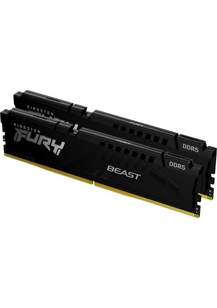 32GB 5200MT/S Ddr5 CL36 Dımm (Kit Of 2) Beast Black Expo Turkey