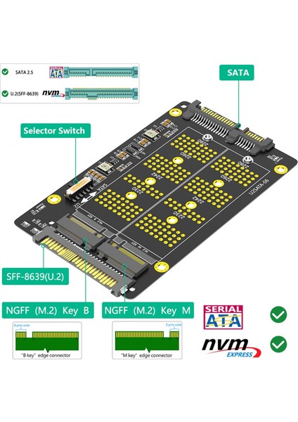 2'si 1 Arada Combo M.2(Ngff) Nvme Pcı-E Ssd'den U.2 SFF-8639 ve M.2(Ngff) Sata Adaptörüne (Yurt Dışından)