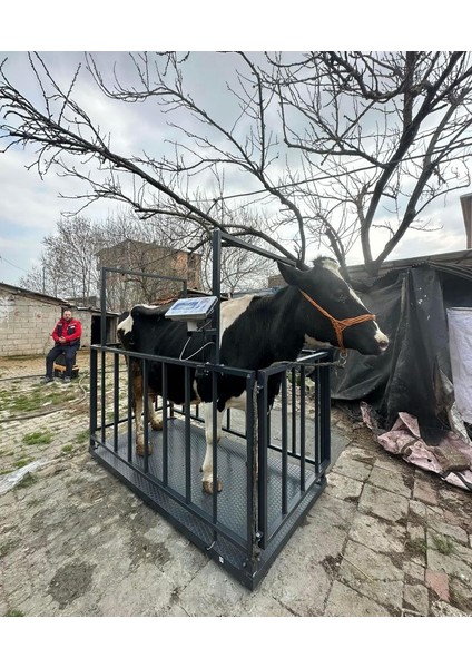 Lider Özel Korumalı 3ton Canlı Hayvan Baskülü