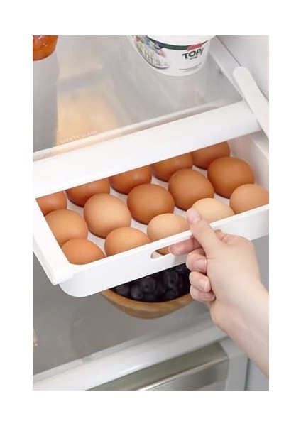 Eggo Pratik Geçmeli Mandallı Raf Yumurtalık 15'li Dolap Içi Yumurta Saklama Kutusu fiyatları