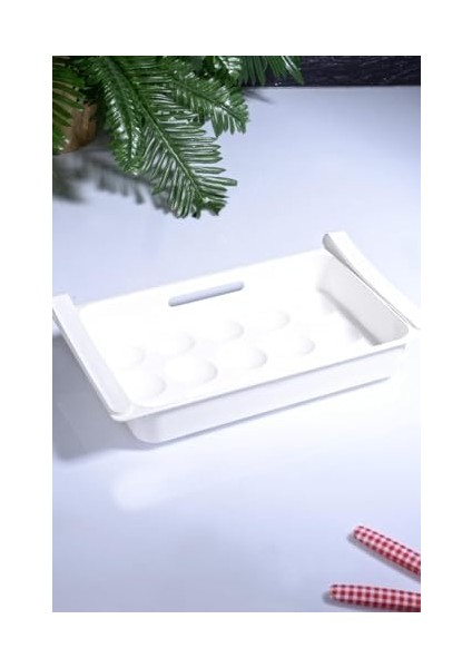 Eggo Pratik Geçmeli Mandallı Raf Yumurtalık 15'li Dolap Içi Yumurta Saklama Kutusu modelleri