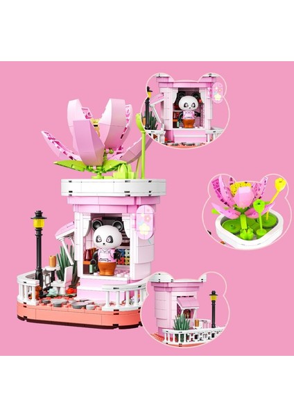 Aeonium Yapı Taşları Yaratıcı Montaj Oyuncakları (Yurt Dışından)