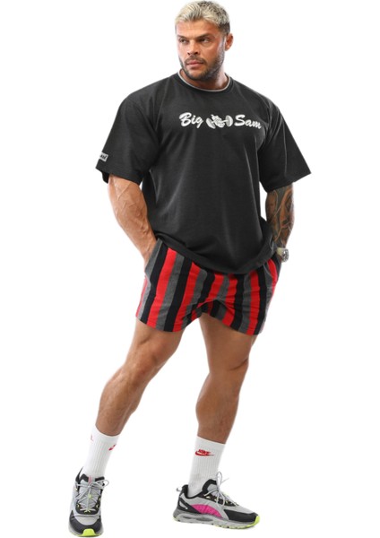 Fitness Antrenman Şortu Bgsm 1513 fiyatları