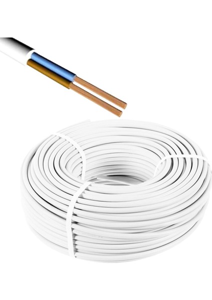 Toros Kablo 2 x 2.5 mm² Cca Kablo H05 W-F 100 mt