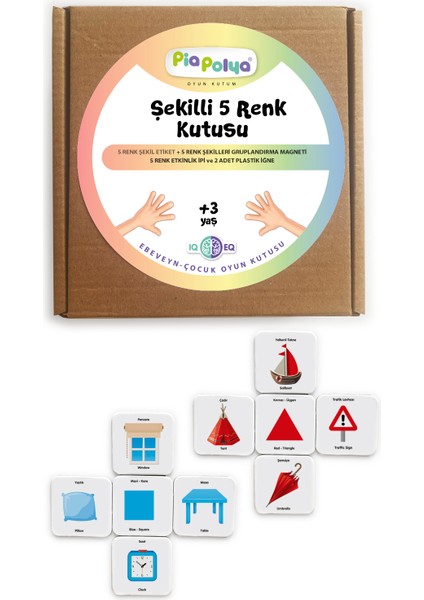 Şekilli 5 Renk Kutusu | Şekil Etiket | Gruplandırma Magneti | Etkinlik Ipi | Iğne