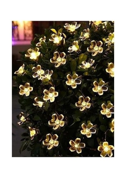 Günışığı Solar 5 Metre 7 Mod Işık Zinciri 20W 3200K