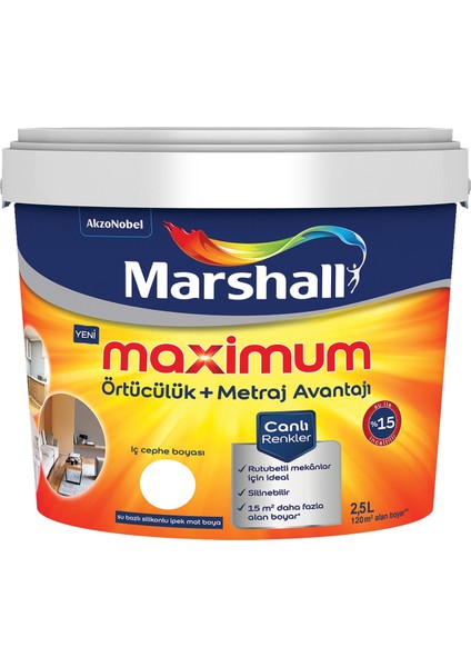 Maximum Silikonlu İpek Mat Fıstık 2,5 lt. (3,5 kg)