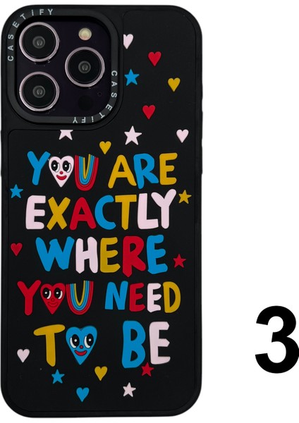 Apple iPhone 15 Pro Max Uyumlu Casetify Kabartmalı Arka Koruma Kılıf