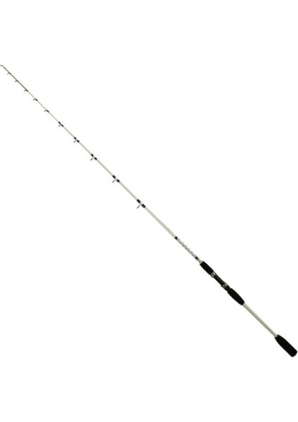 Squid Master 165CM 120GR Tekne Kamışı