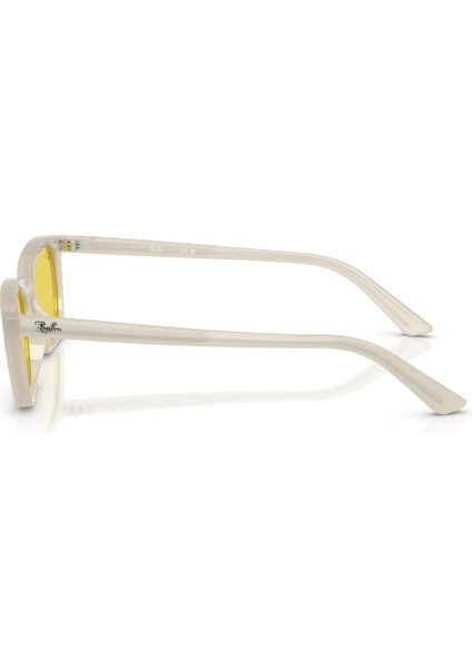 Rb 4456 68086D 53 Ray-Ban Zaya Unisex Güneş Gözlüğü