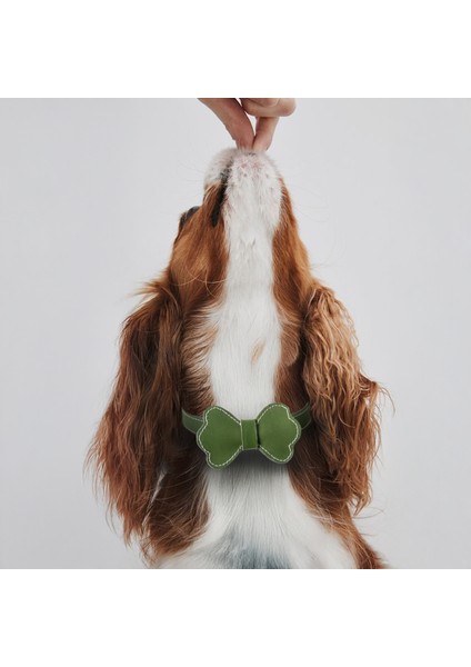 El İşçiliği Hakiki Deri Köpek Tasması