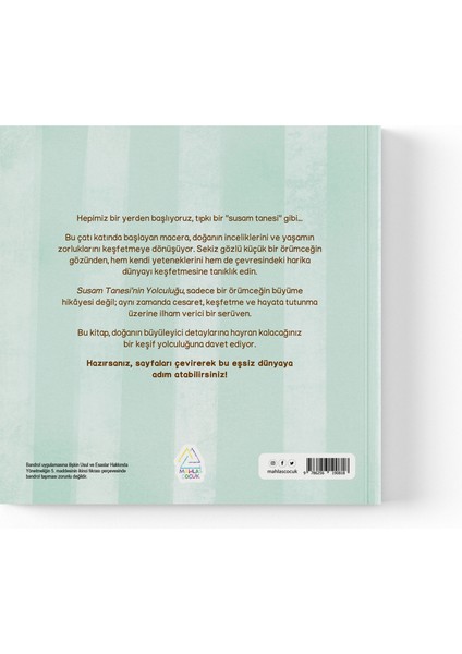 Dilek Özulus Tüzün - Susam Tanesinin Yolculuğu