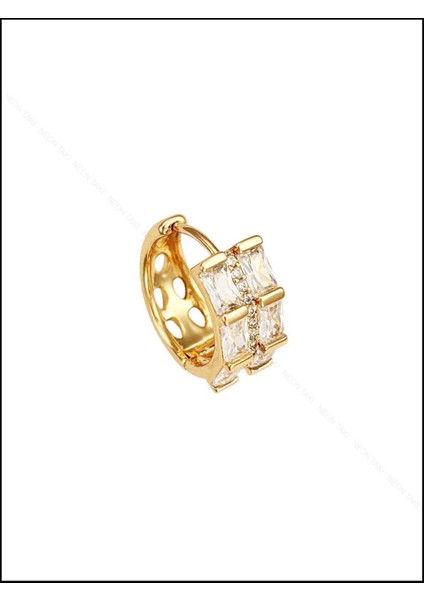, Duyarlılık Etiketi ve Zirkon Taşlı, Halka, Altın Kaplama Paslanmaz Küpe 252, Pembe (ROSE) Renk modelleri