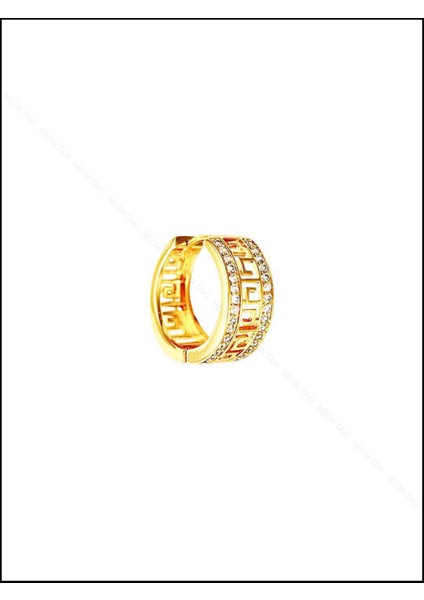 , Duyarlılık Etiketi ve Zirkon Taşlı, Halka, Altın Kaplama Paslanmaz Küpe 249, Pembe (ROSE) Renk modelleri