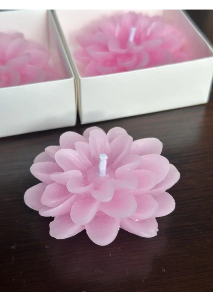 2 (Adet) Lotus Çiçeği Şeklinde Dekoratif Mum -Hediyelik, Nişan, Düğün, Sünnet, Söz, Doğum Günü fırsatları