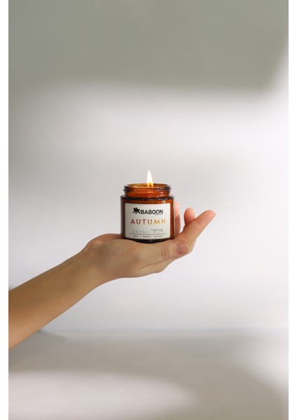 Tarçın & Karanfil & Portakal - Soyalı Mum - Autumn 100 ml