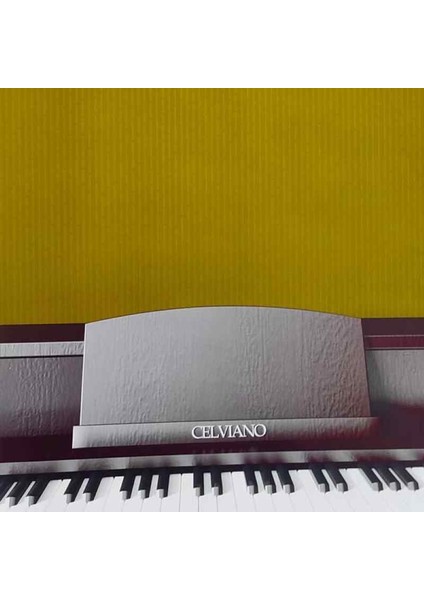 Picasso 2 Boyanabilir Duvar Kağıdı 7016 (26.5m2)
