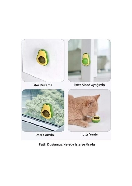 Avokado Kedi Nanesi Oyun Topu fiyatları