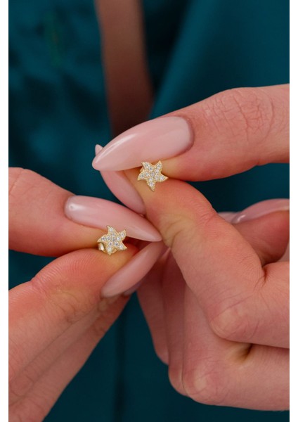 925 Ayar Gümüş Deniz Yıldızı Küpe Gold