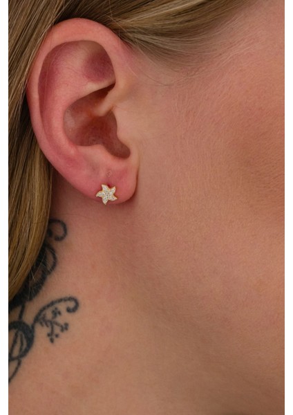 925 Ayar Gümüş Deniz Yıldızı Küpe Gold fiyatları