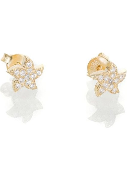 925 Ayar Gümüş Deniz Yıldızı Küpe Gold modelleri