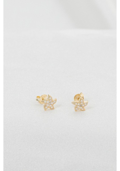 925 Ayar Gümüş Deniz Yıldızı Küpe Gold fırsatları