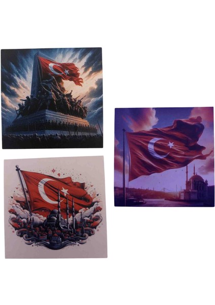 Bayrak Sticker