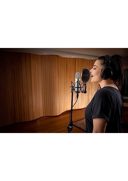 Nt2-A, Multi Pattern Kondenser Mikrofon fiyatları