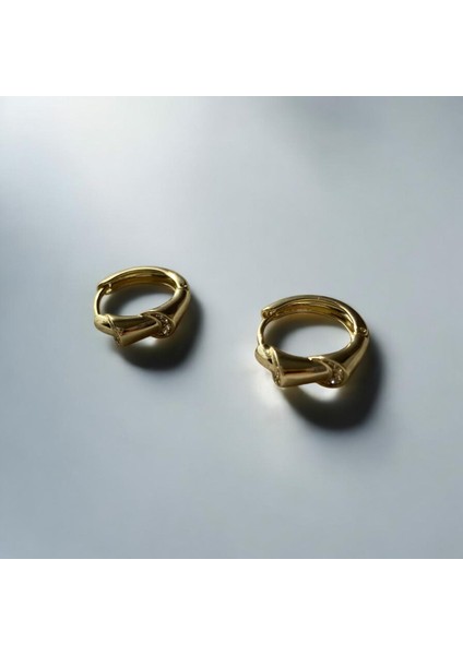 Halka Çarklı Gold Küpe fiyatları