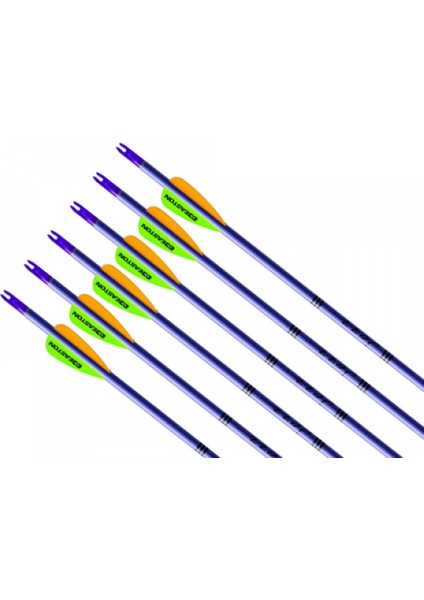 Arrow XX75 Jazz Purple Alüminyum Komple Ok- 108051 modelleri