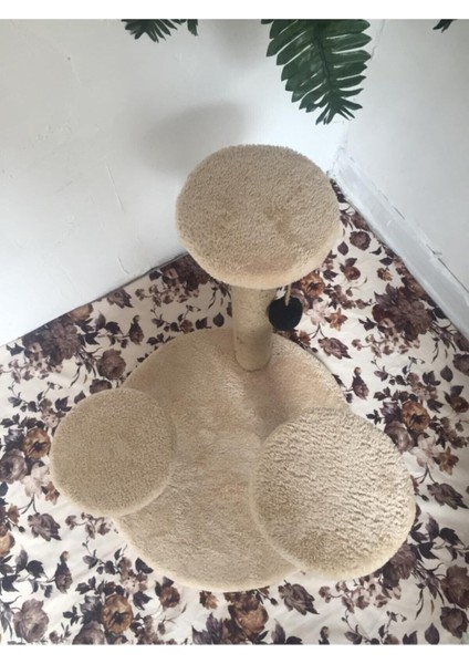 Üçlü Zıp Zıp Tırmalama Tahtası, Açık Kahverengi, Eğlenceli ve Güvenli Tasarım fiyatları