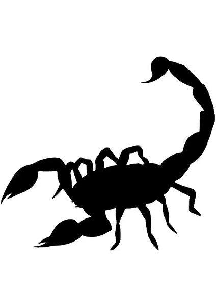 Autosticker^#akrep Sticker (Oto-Motor-Laptop-Duvar-Dekor) 30 x 27 cm