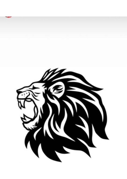 Autosticker^#aslan Tasarımlı Oto Sticker 40 x 40 cm