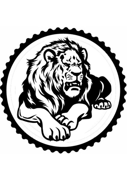 Autosticker^#arslan Tasarım 2.model Sticker 30 x 30 cm